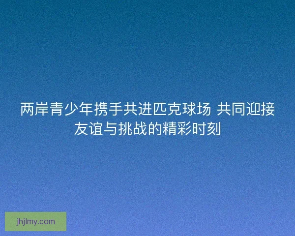 两岸青少年携手共进匹克球场 共同迎接友谊与挑战的精彩时刻